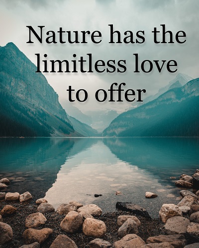 best nature captions